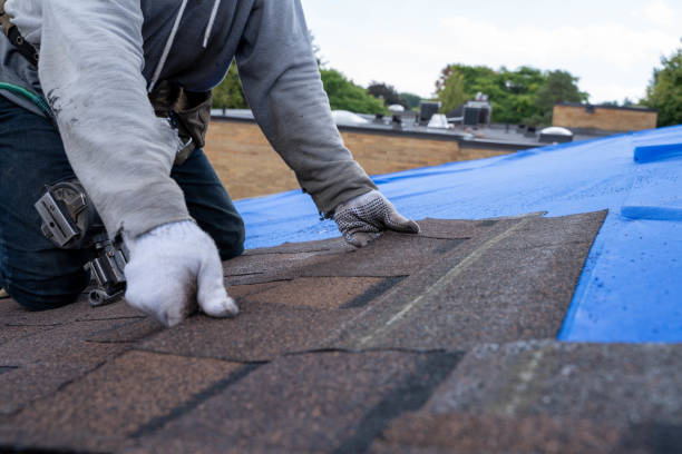 Best Commercial Roofing Services  in Mount Clemens, MI