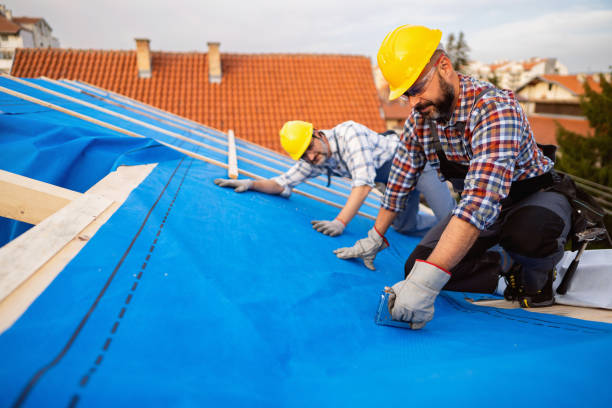Quick and Trustworthy Emergency Roof Repair Services in Mount Clemens, MI