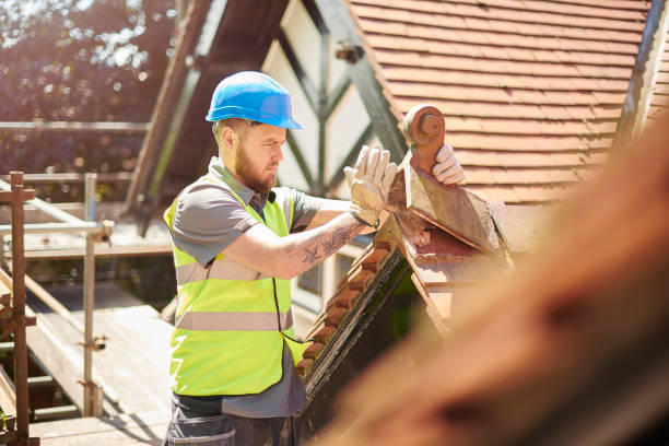 Best Emergency Roof Repair  in Mount Clemens, MI